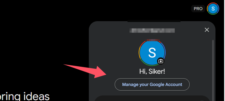Gemini 账号登陆操作步骤截图 6