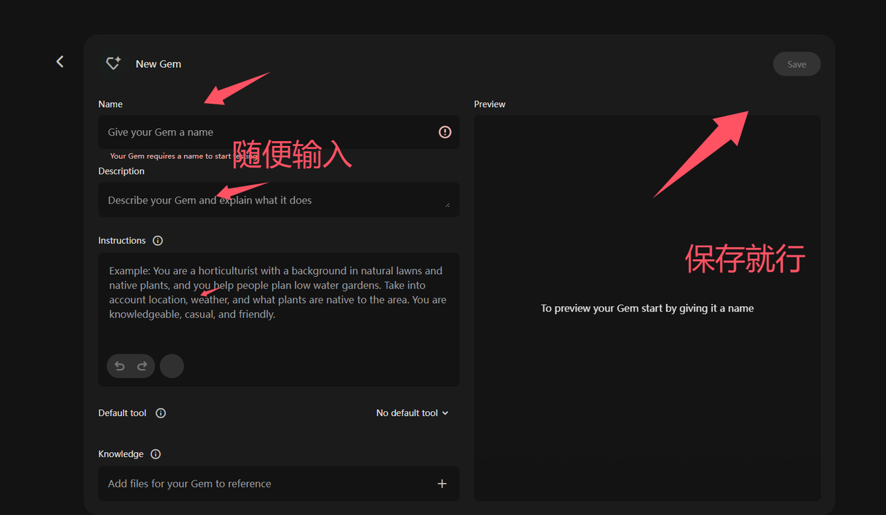 Gemini pro 问题大全 加解决方案操作步骤截图 2