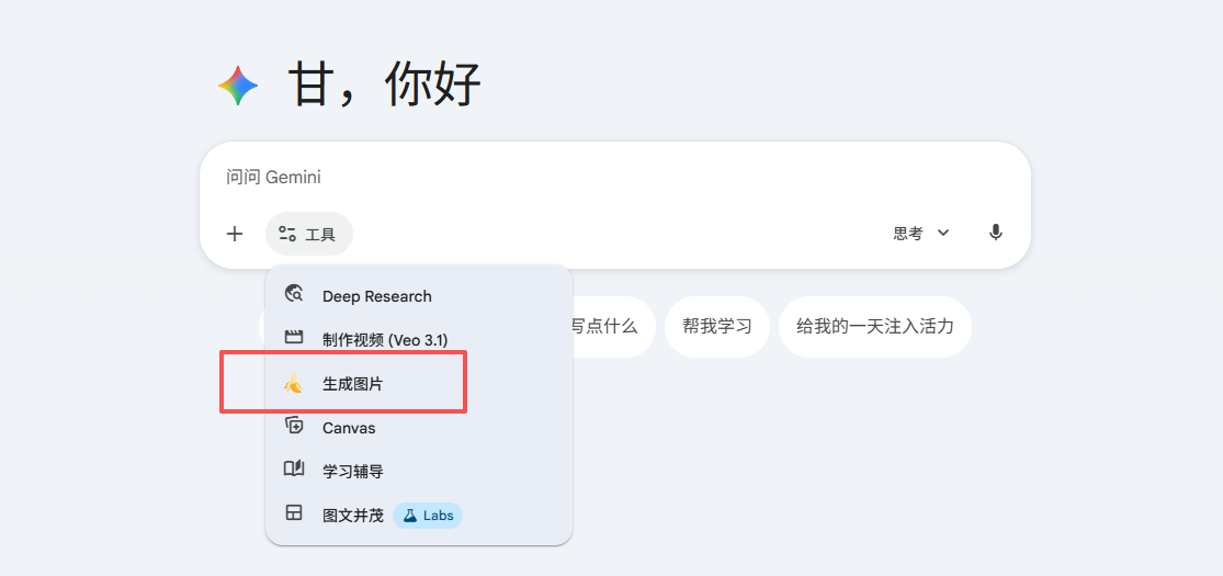 Gemini 使用说明操作步骤截图 3