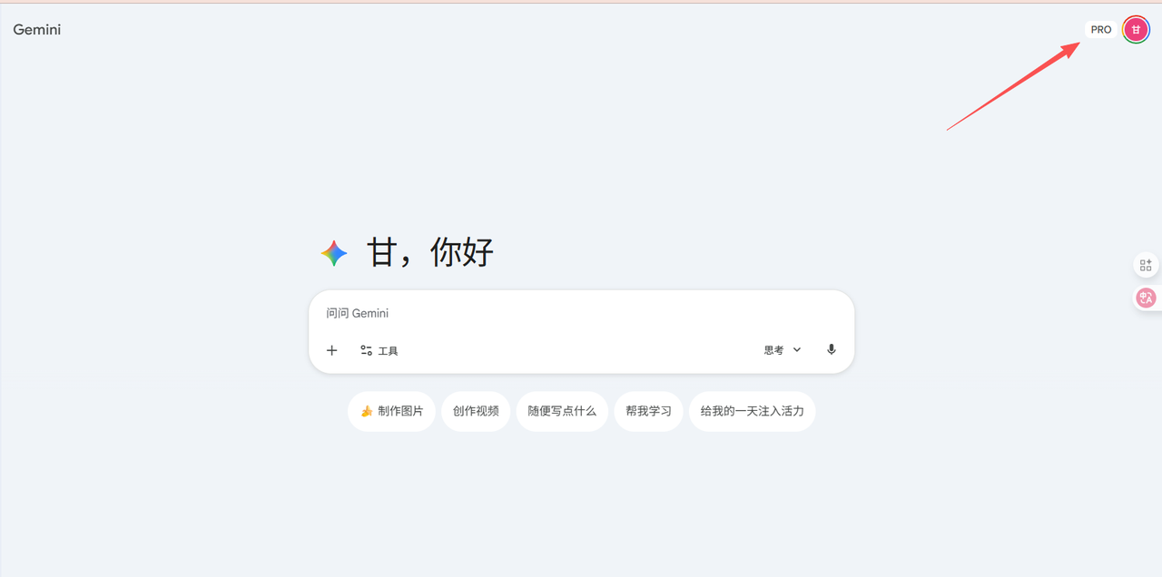 Gemini 使用说明操作步骤截图 1