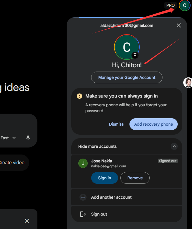 Gemini 修改 Google 账号语言(推荐)操作步骤截图 1