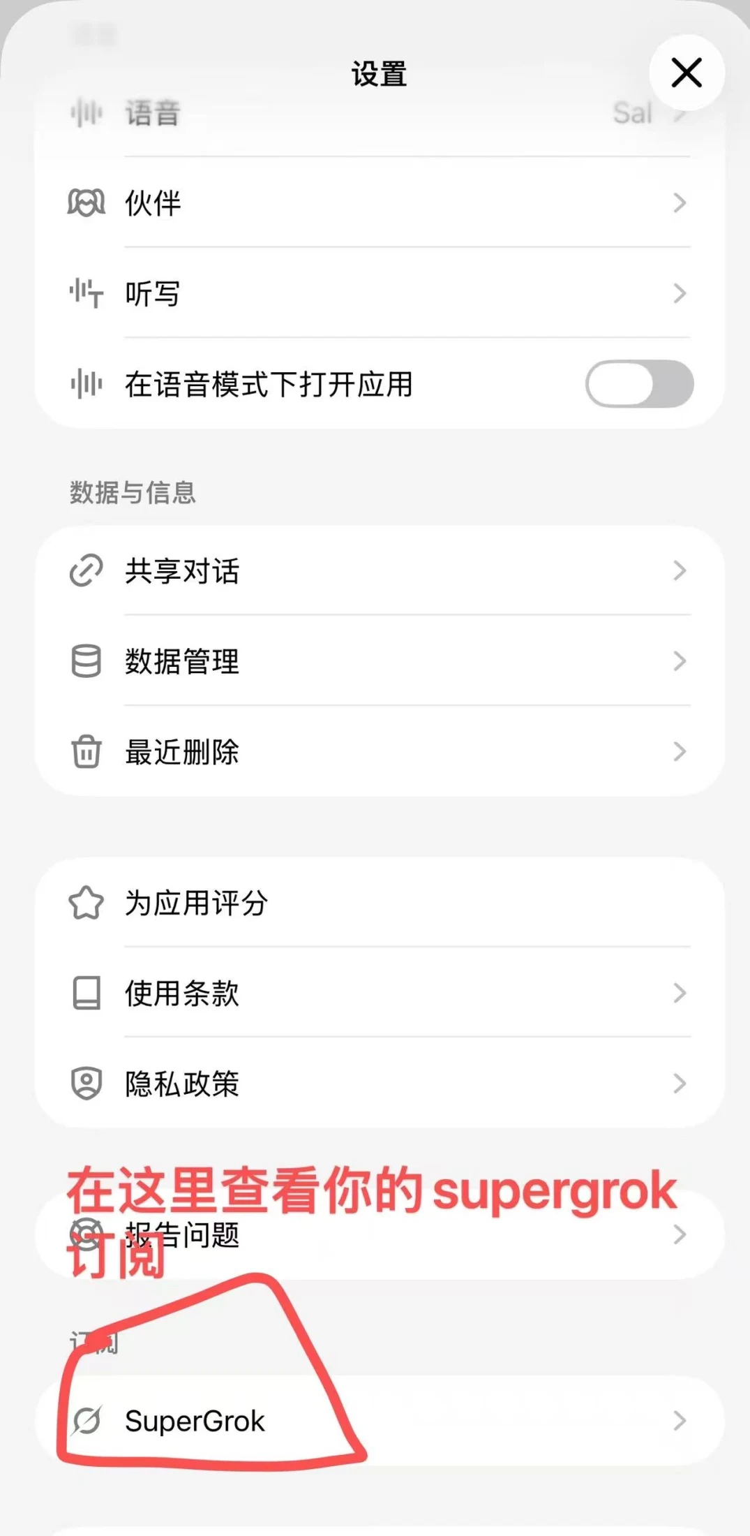 Super Grok 使用教程操作步骤截图 6